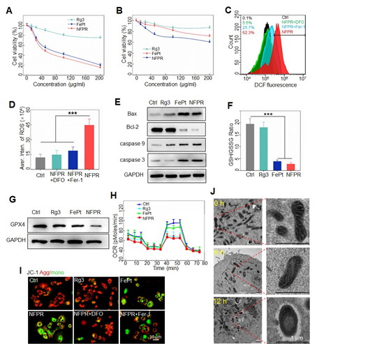 c9e851ec0153dfa00c300c5be148c881.jpg 图2.jpg